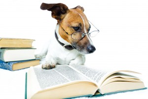 dog_with_book