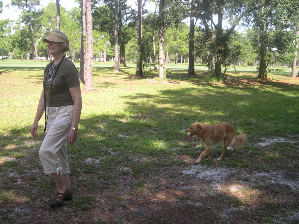 Services Orlando Dog Behavior Training Winter Park Animal Behavior