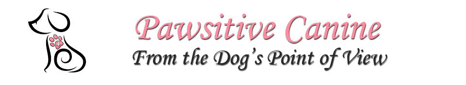 Orlando Dog Behavior Training | Winter Park Animal Behavior Specialist | Florida Pet Behaviorist